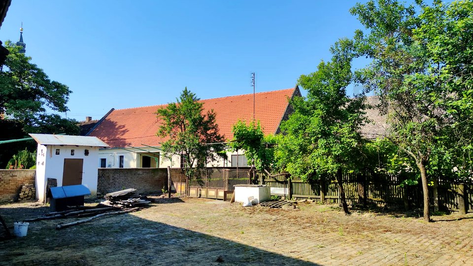 House, 330 m2, For Sale, Dalj