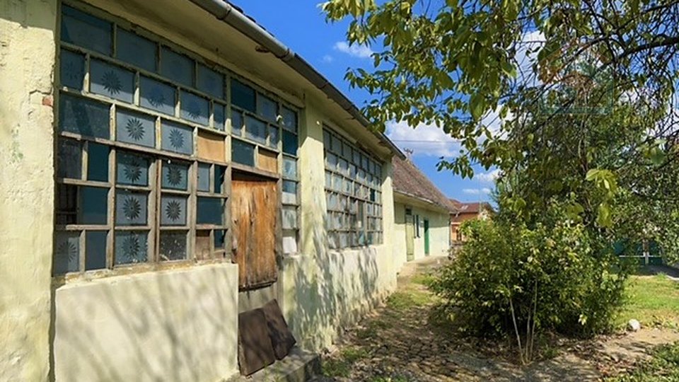House, 4641 m2, For Sale, Beli Manastir