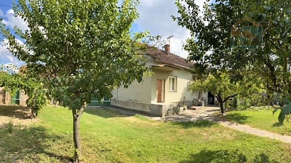 House, 4641 m2, For Sale, Beli Manastir