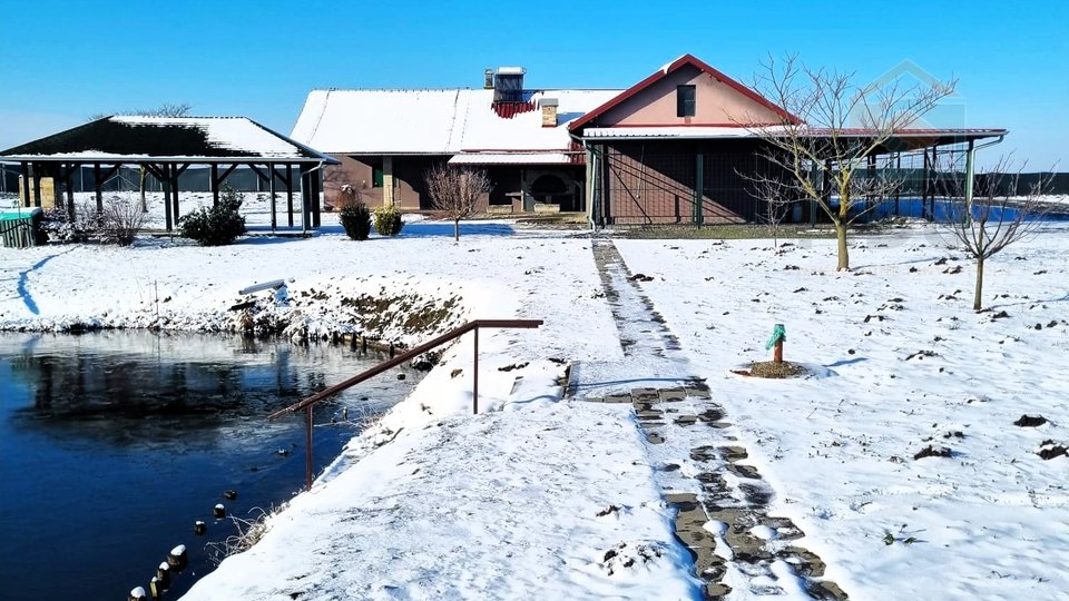 Grundstück, 10006 m2, Verkauf, Darda