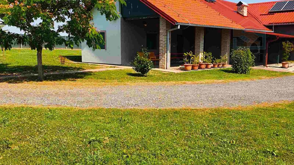 Terreno, 10006 m2, Vendita, Darda