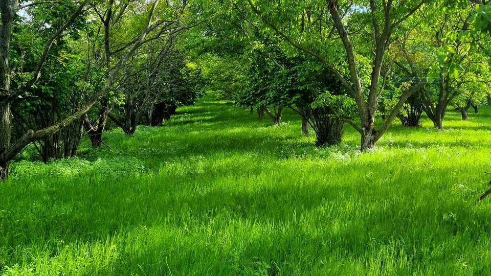 Kuća za odmor - Podolje