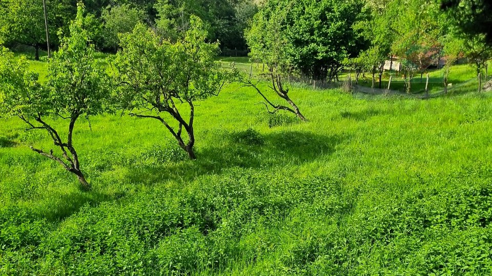 Kuća za odmor - Podolje