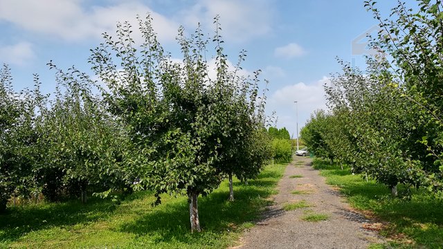 Terreno, 3437 m2, Vendita, Osijek - Industrijska zona