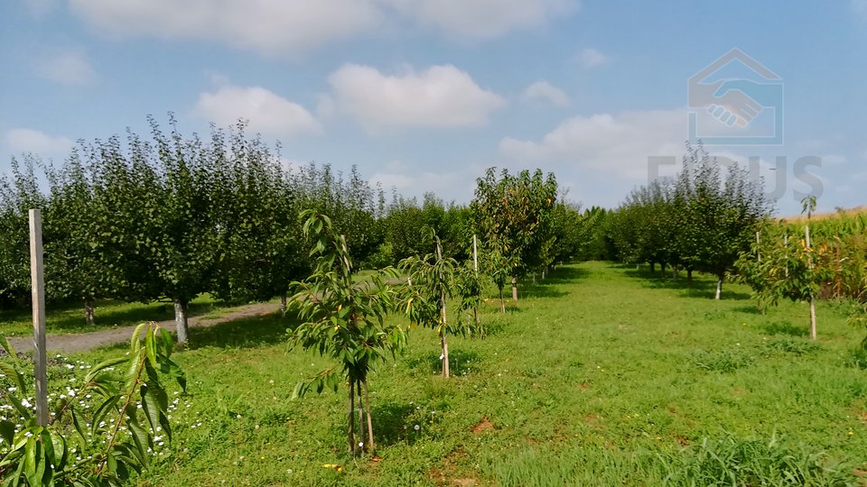 Grundstück, 3437 m2, Verkauf, Osijek - Industrijska zona