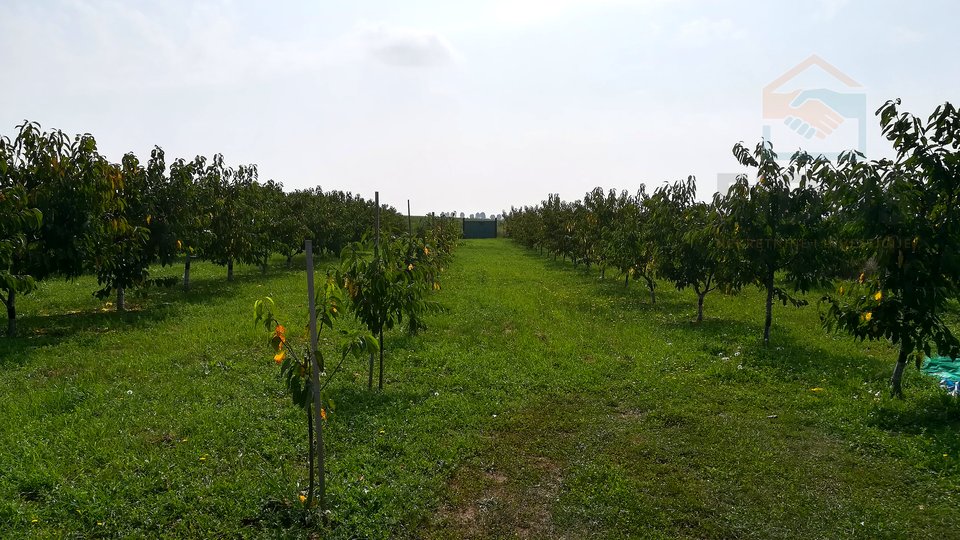 Terreno, 3437 m2, Vendita, Osijek - Industrijska zona