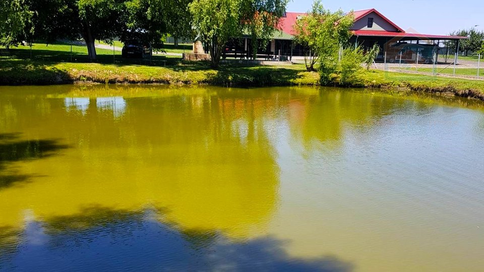 Ribnjak i poljoprivredno zemljište - Darda