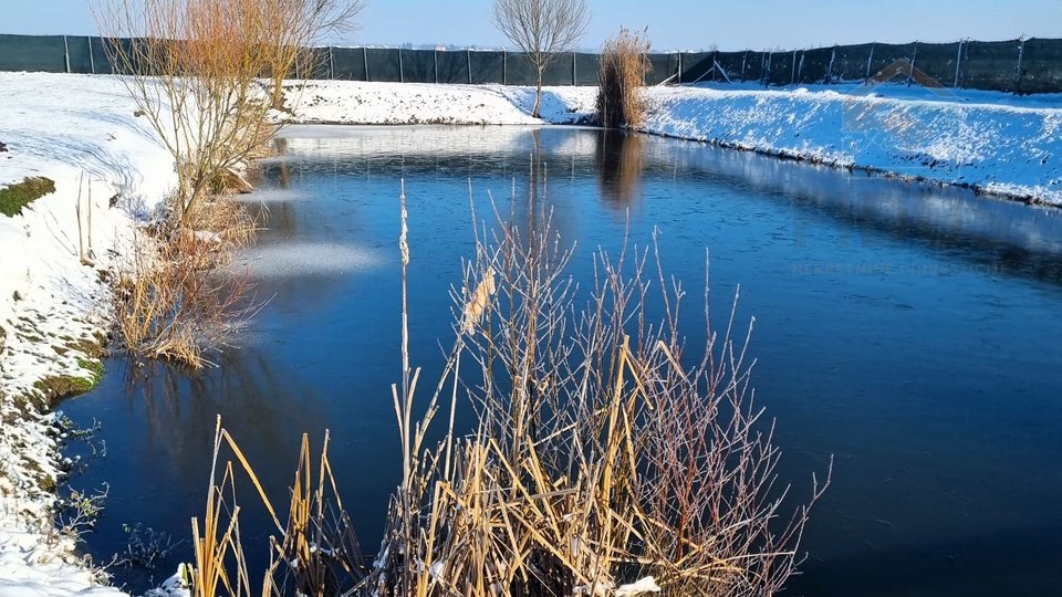 Grundstück, 10006 m2, Verkauf, Darda