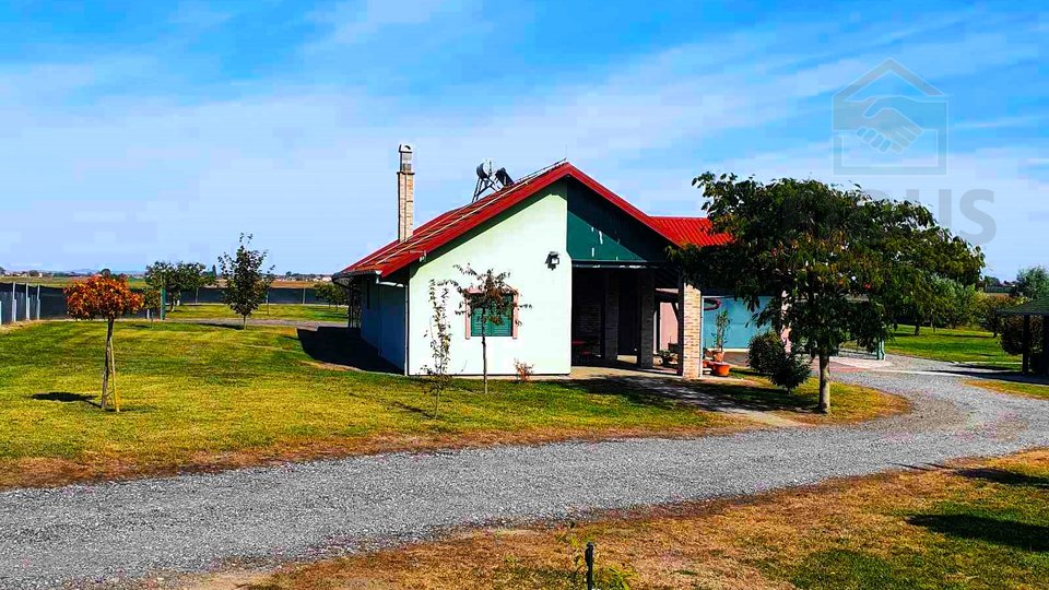 Grundstück, 10006 m2, Verkauf, Darda