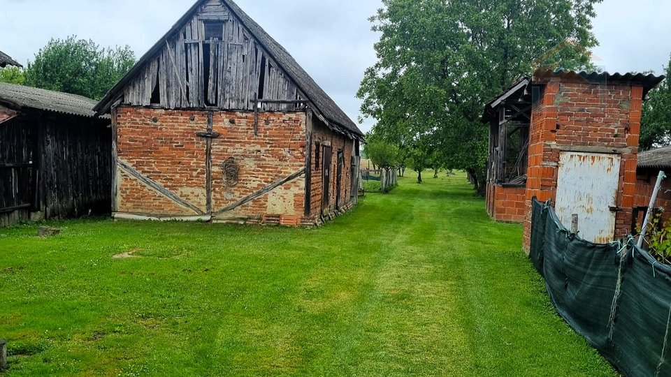 Obiteljska kuća s velikom okućnicom - Zdenci (Orahovica)